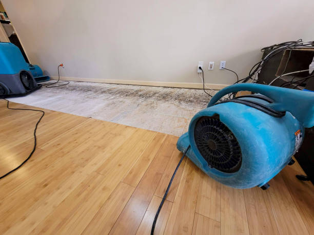 Professional Ceiling Water Damage Repair technician working in Mars, PA